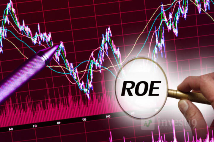 Quality Factor: ROE, Debt and Earnings Stability